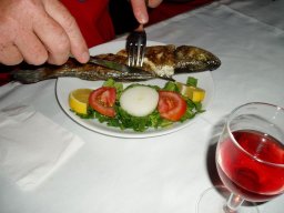 Törn 2004